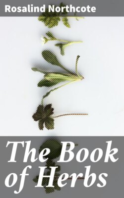 The Book of Herbs