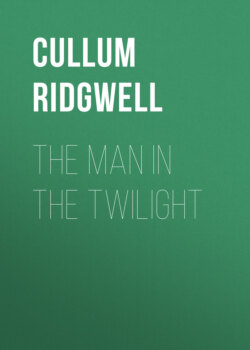 The Man in the Twilight