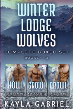 Winter Lodge Wolves Complete Boxed Set