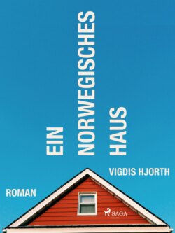 Ein norwegisches Haus