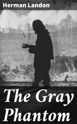 The Gray Phantom