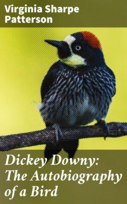 Dickey Downy: The Autobiography of a Bird