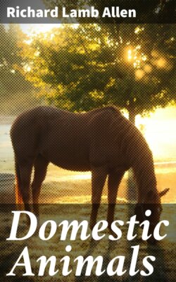 Domestic Animals