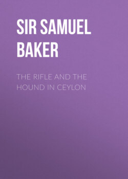 The Rifle and the Hound in Ceylon