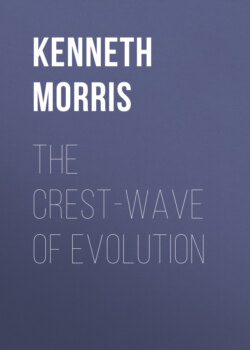 The Crest-Wave of Evolution