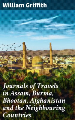 Journals of Travels in Assam, Burma, Bhootan, Afghanistan and the Neighbouring Countries