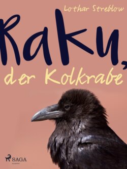 Raku, der Kolkrabe