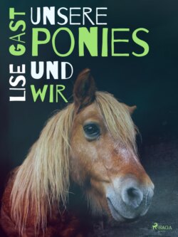 Unsere Ponies und wir