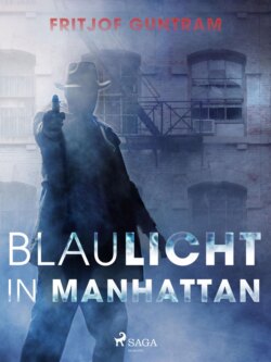 Blaulicht in Manhattan