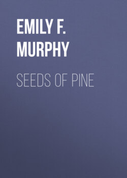 Seeds of Pine