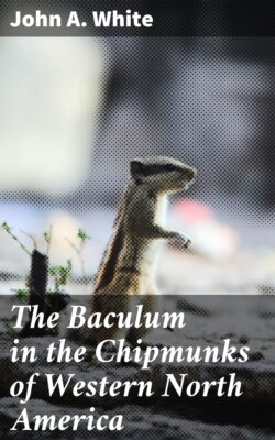The Baculum in the Chipmunks of Western North America