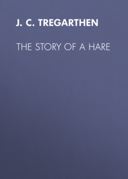 The Story of a Hare