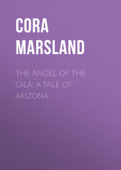 The Angel of the Gila: A Tale of Arizona