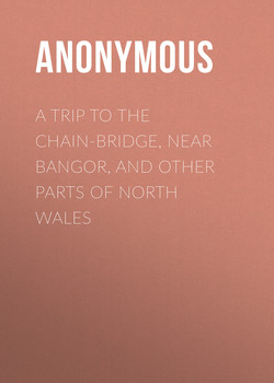 A Trip to the Chain-Bridge, Near Bangor, and Other Parts of North Wales