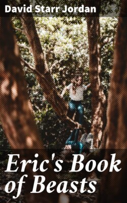 Eric's Book of Beasts