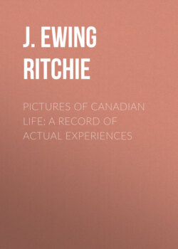 Pictures of Canadian Life: A Record of Actual Experiences