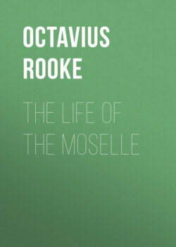 The Life of the Moselle