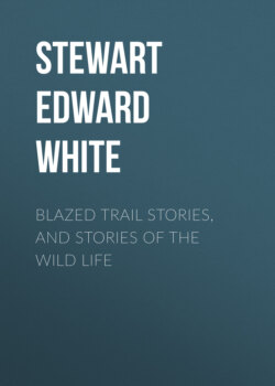 Blazed Trail Stories, and Stories of the Wild Life