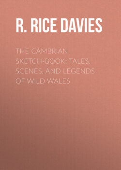 The Cambrian Sketch-Book: Tales, Scenes, and Legends of Wild Wales