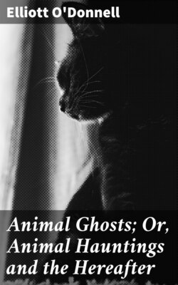 Animal Ghosts; Or, Animal Hauntings and the Hereafter