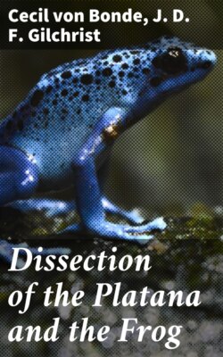 Dissection of the Platana and the Frog