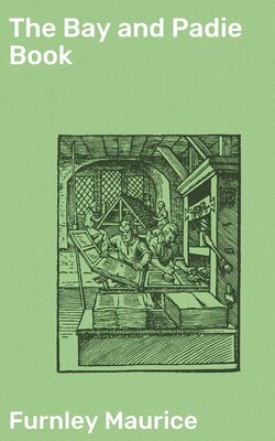 The Bay and Padie Book