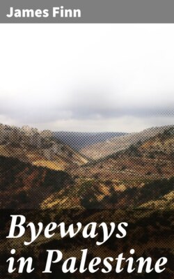 Byeways in Palestine