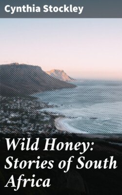 Wild Honey: Stories of South Africa