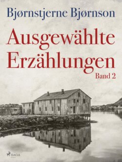 Ausgewählte Erzählungen - Band 2