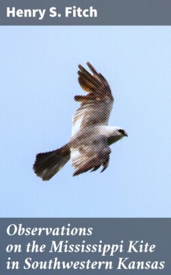 Observations on the Mississippi Kite in Southwestern Kansas