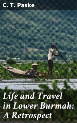 Life and Travel in Lower Burmah: A Retrospect