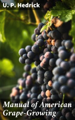 Manual of American Grape-Growing