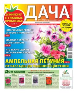 Дача Pressa.ru 04-2021