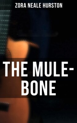 The Mule-Bone