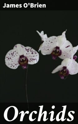 Orchids