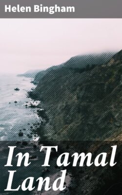 In Tamal Land