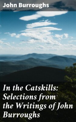 In the Catskills: Selections from the Writings of John Burroughs