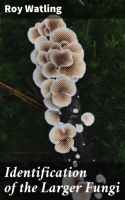 Identification of the Larger Fungi