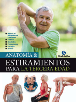 Anatomía & Estiramientos para la Tercera Edad (Color)