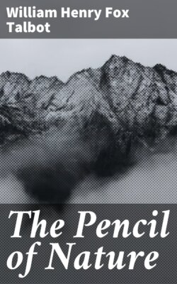 The Pencil of Nature