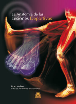 La anatomía de las lesiones deportivas (Color)