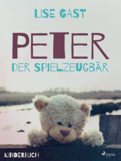 Peter der Spielzeugbär