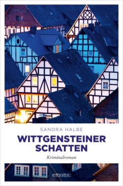 Wittgensteiner Schatten