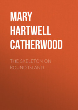 The Skeleton On Round Island