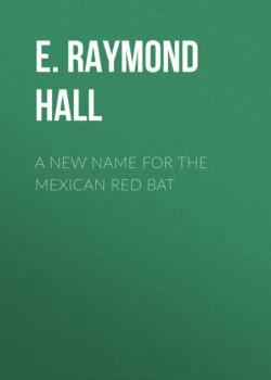 A New Name for the Mexican Red Bat