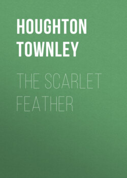 The Scarlet Feather