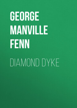 Diamond Dyke