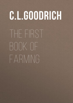 The First Book of Farming