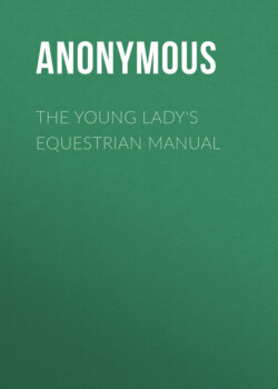 The Young Lady's Equestrian Manual