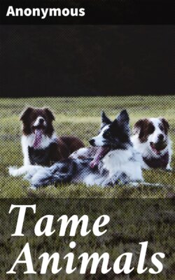 Tame Animals